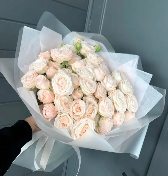 Нежные облака