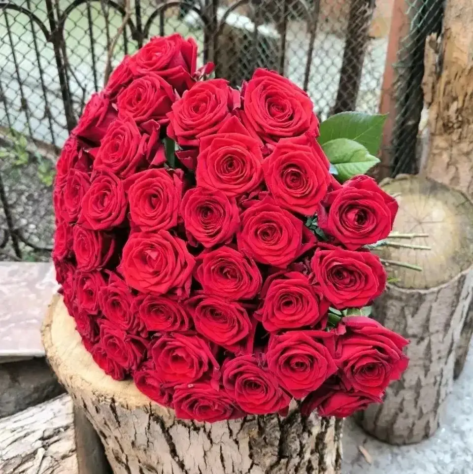 Букет из 51 красной розы