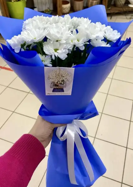 Снежное небо